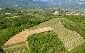 Apartma Valic